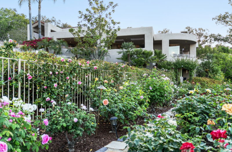Rose Garden